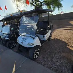 2021 EVOLUTION CLASSIC 4 PRO Utility Vehicle
